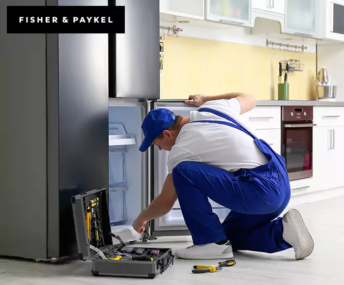 Top-Rated Fisher & Paykel Appliance Experts: Your Brand Specialist in Medford, MA